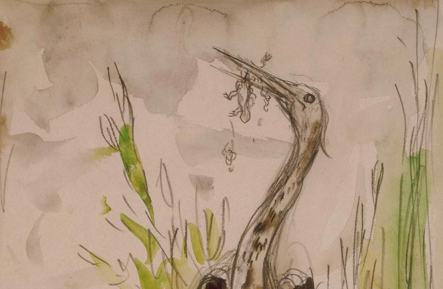 Media Name: cat.448_les_grenouilles_qui_demandent_un_roi_-_copie.jpg