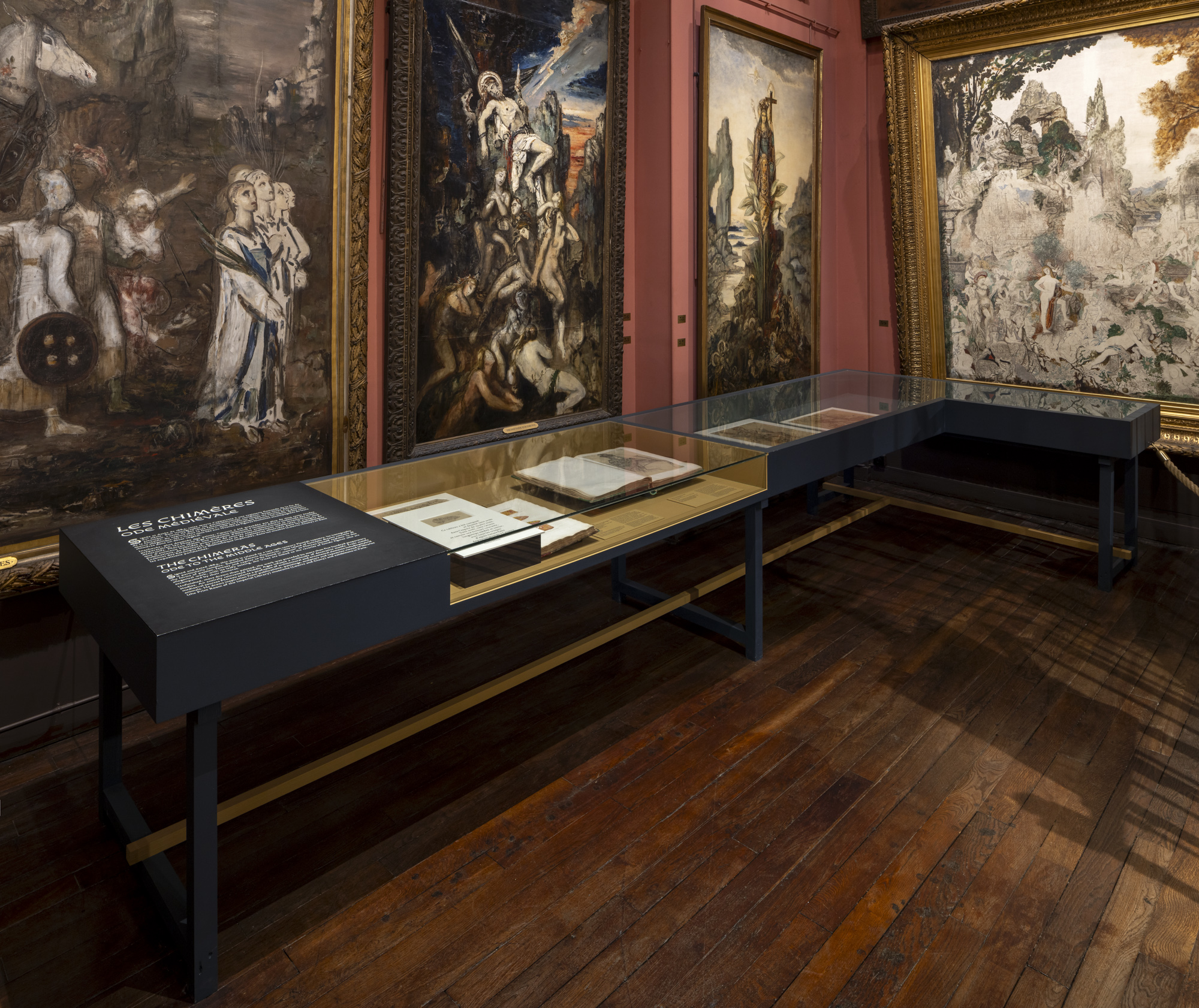 Vue de la vitrine autour des Chimères